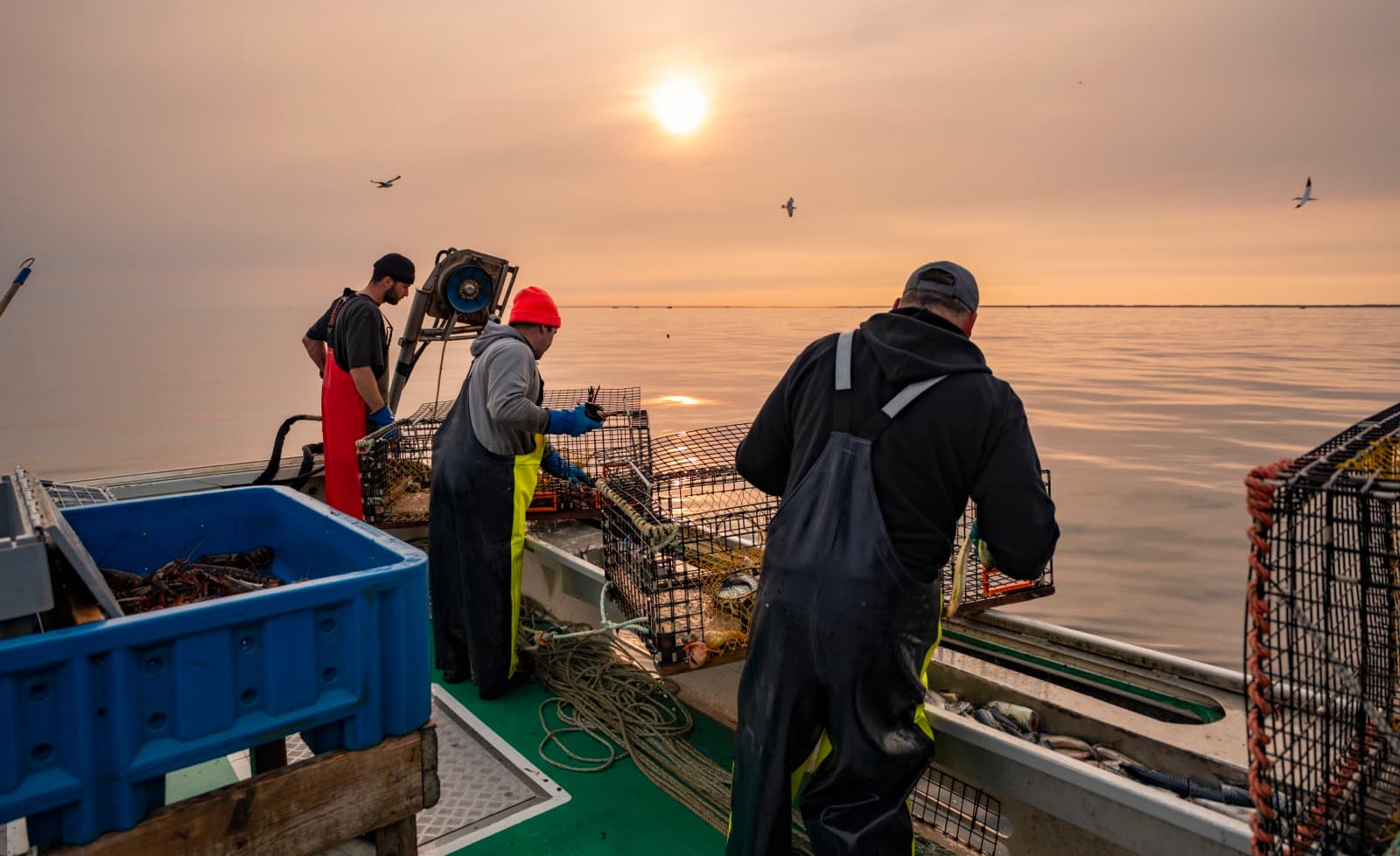 Oyster shucking