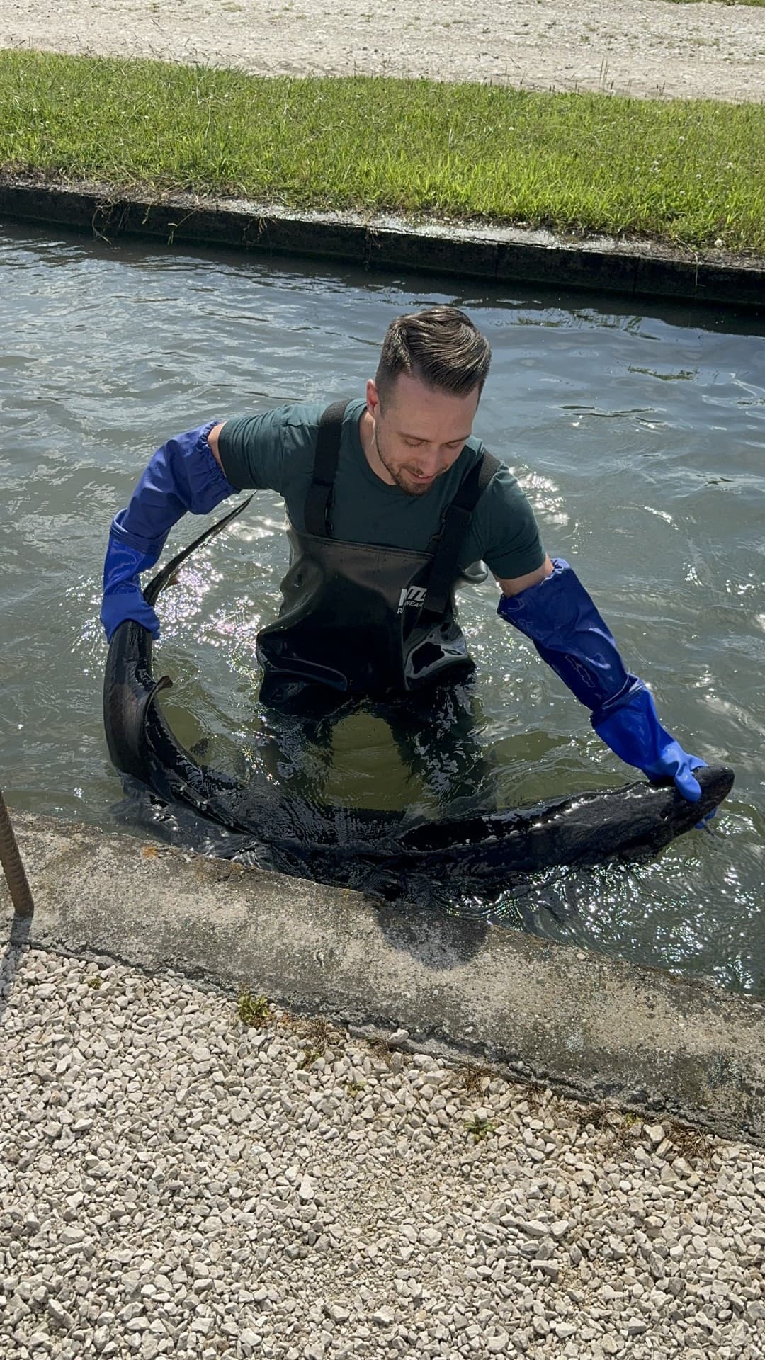 Founder Ghislain Noël sourcing beluga sturgeon caviar